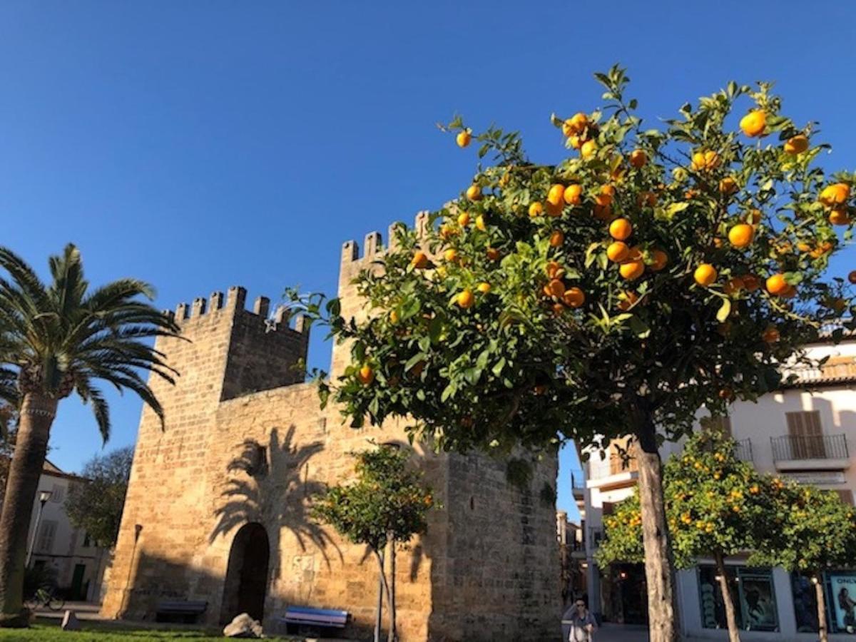 Vakantiehuis Casa Sa Pedra, En El Centro Historico De *